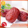 Getrocknete rote jujubes, chinesisches jujube, jujube getrocknet